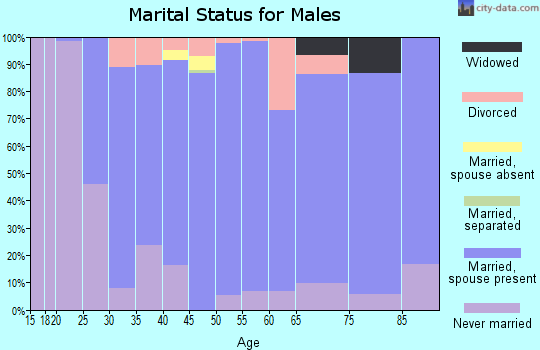 Zip code 55972 marital status for males
