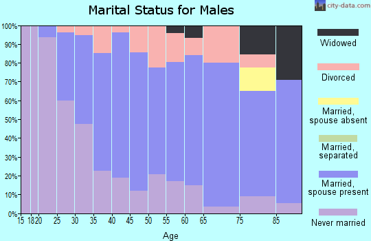 Zip code 55974 marital status for males