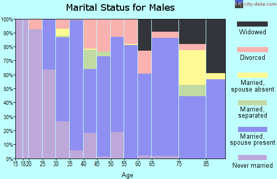 Zip code 55976 marital status for males