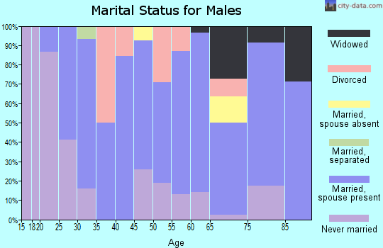 Zip code 55979 marital status for males