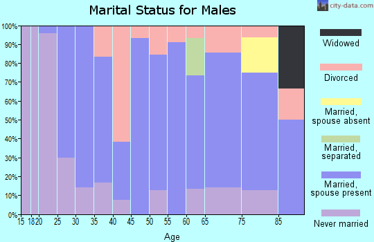 Zip code 55982 marital status for males