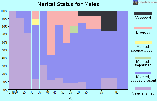Zip code 55983 marital status for males