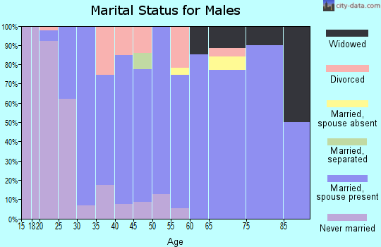 Zip code 55985 marital status for males