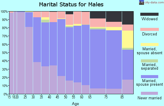 Zip code 55987 marital status for males