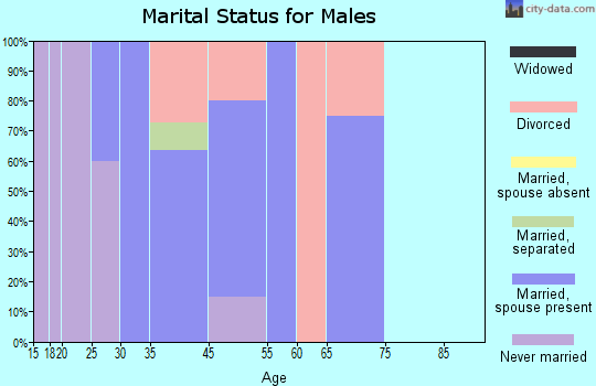Zip code 55988 marital status for males