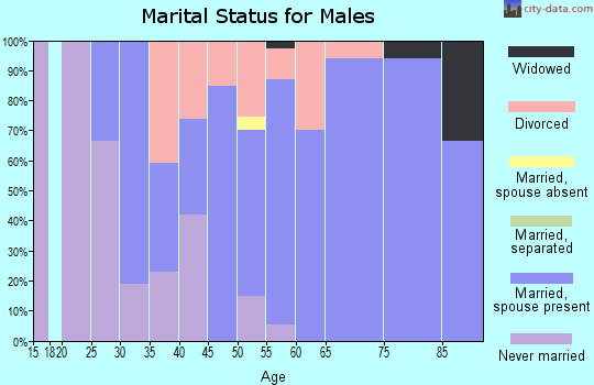 Zip code 55990 marital status for males