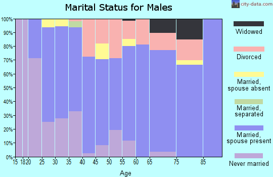 Zip code 55991 marital status for males