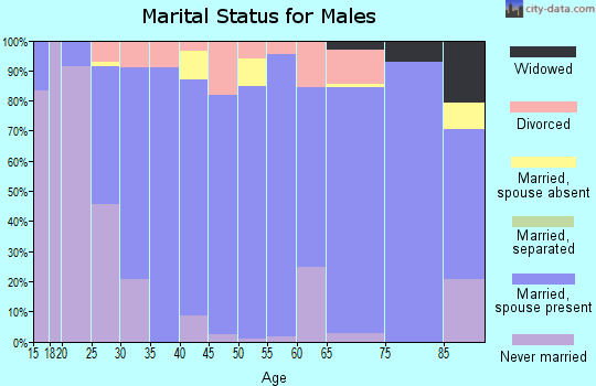 Zip code 55992 marital status for males