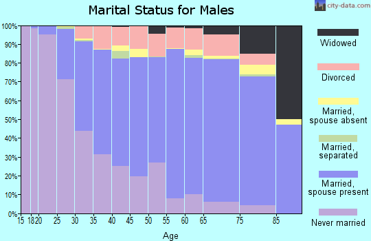 Zip code 56001 marital status for males