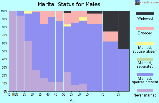 Zip code 56003 marital status for males