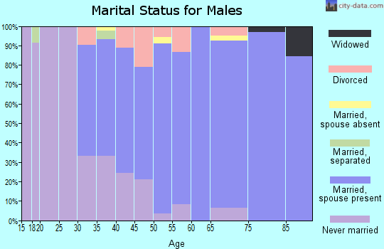 Zip code 56009 marital status for males