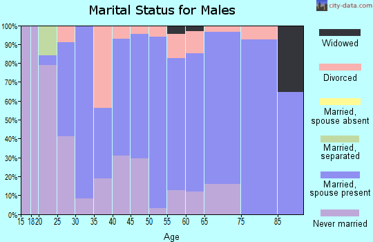 Zip code 56010 marital status for males