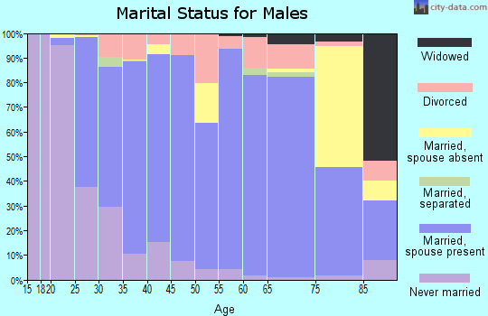 Zip code 56011 marital status for males