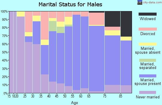 Zip code 56013 marital status for males