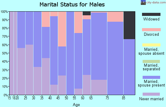 Zip code 56014 marital status for males