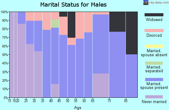 Zip code 56016 marital status for males