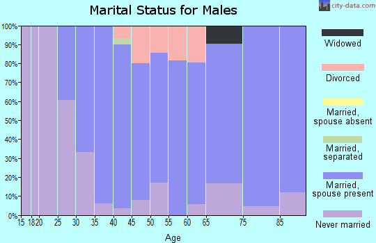 Zip code 56019 marital status for males