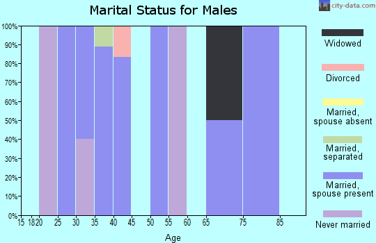 Zip code 56020 marital status for males