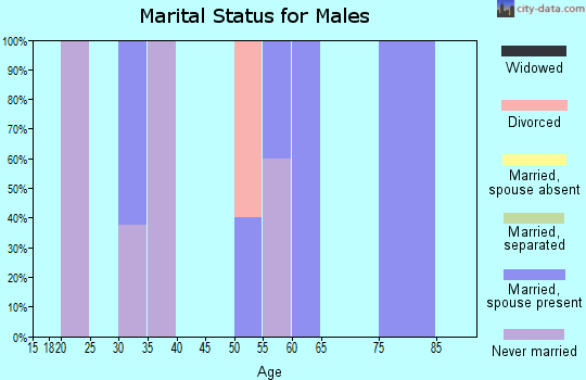 Zip code 56022 marital status for males