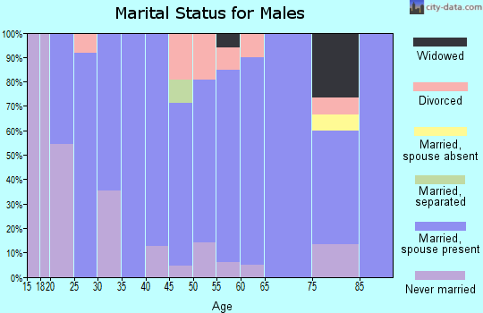Zip code 56023 marital status for males