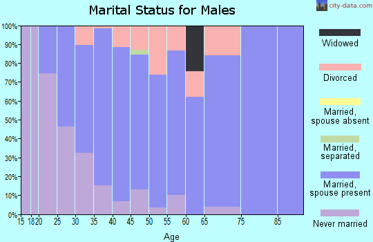Zip code 56024 marital status for males