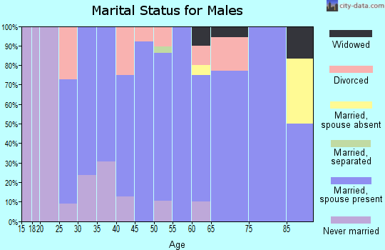 Zip code 56025 marital status for males