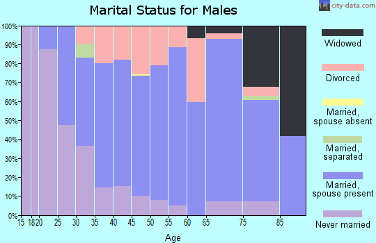 Zip code 56026 marital status for males