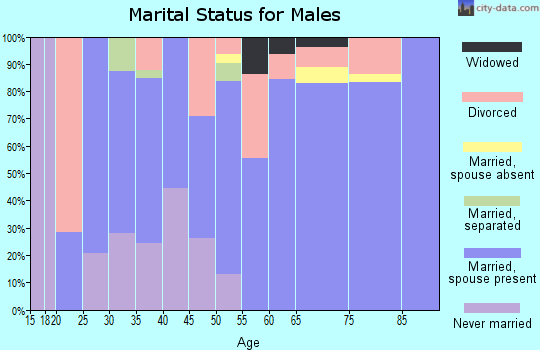 Zip code 56027 marital status for males