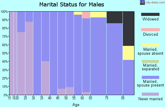 Zip code 56028 marital status for males