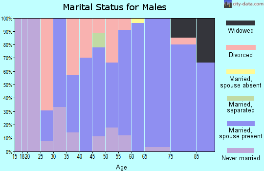 Zip code 56029 marital status for males