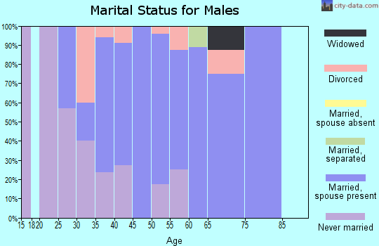 Zip code 56032 marital status for males