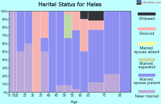 Zip code 56033 marital status for males