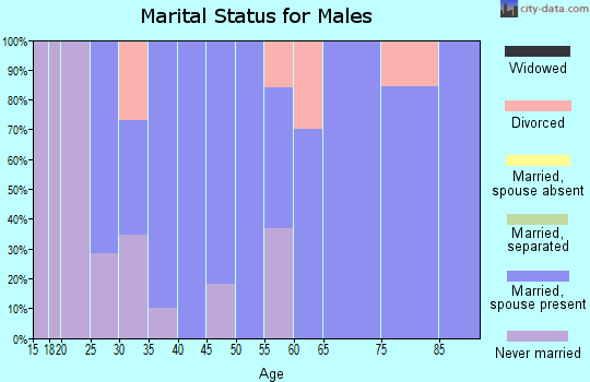 Zip code 56035 marital status for males