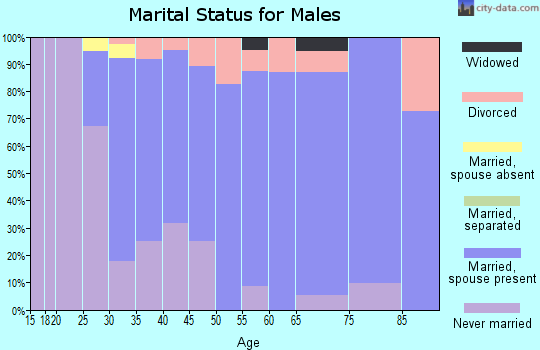Zip code 56037 marital status for males