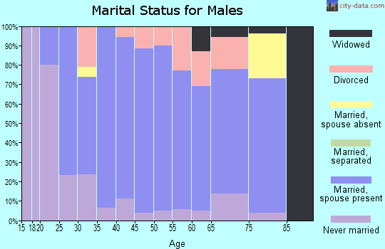 Zip code 56039 marital status for males