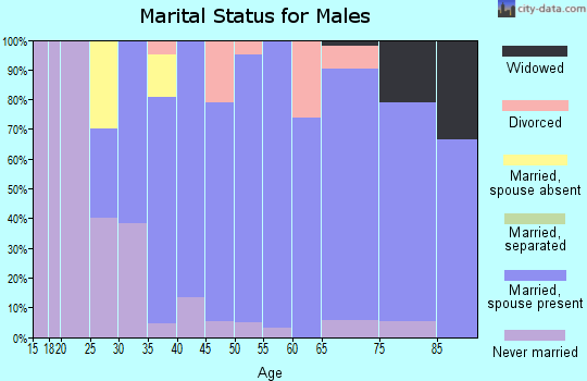 Zip code 56042 marital status for males