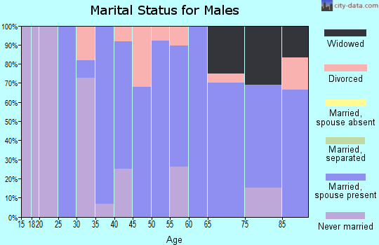 Zip code 56043 marital status for males