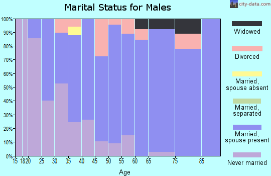 Zip code 56045 marital status for males