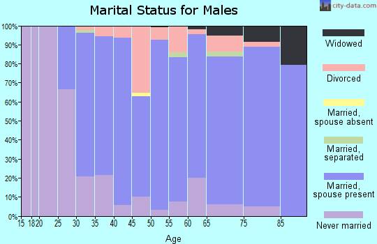 Zip code 56048 marital status for males