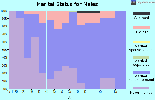 Zip code 56050 marital status for males