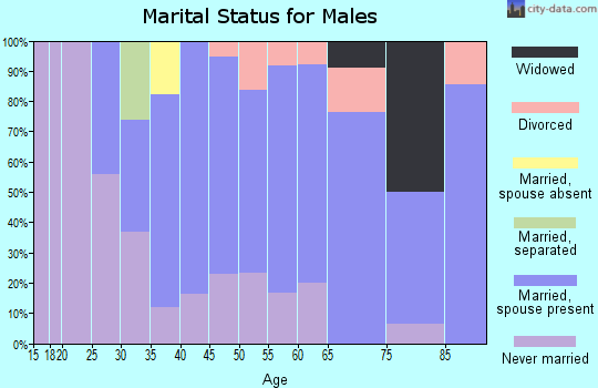 Zip code 56052 marital status for males