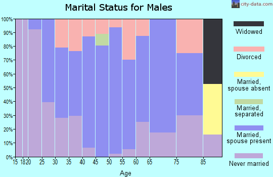 Zip code 56054 marital status for males