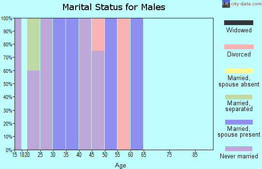 Zip code 56056 marital status for males