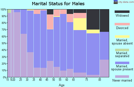 Zip code 56058 marital status for males