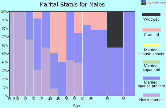 Zip code 56060 marital status for males