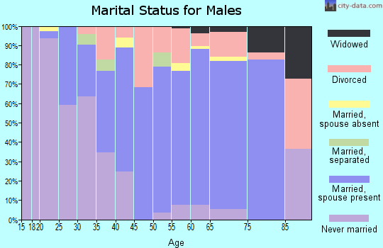 Zip code 56063 marital status for males