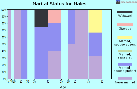 Zip code 56064 marital status for males