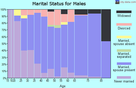 Zip code 56065 marital status for males