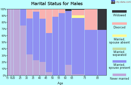 Zip code 56068 marital status for males