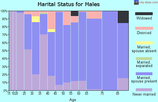 Zip code 56074 marital status for males